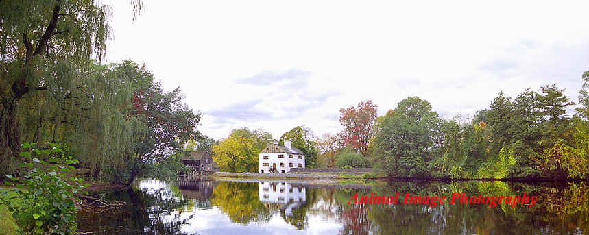 101509.0113.33.34.jpg (250047 bytes)
